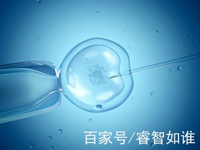 王医生